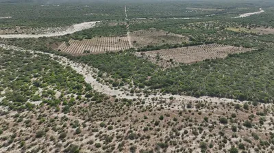 Huertas Santa Cruz — Land for sale in East Cape