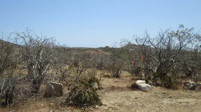 Zacatitos Altos Altos 0-16 — Land for sale in East Cape