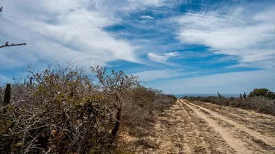 Land In Agua Blanca Lot 14A Camino Del Tiburon — Land for sale in Pacific Coast