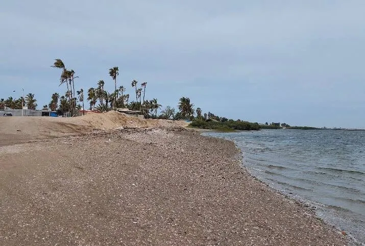 Beachfront San Carlos BCS Rio Nilo & Zofemat — Land for sale in Comondu