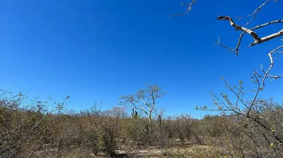 Lote La Cuesta 'B' S/N San Juan De Los Planes — Land for sale in La Paz