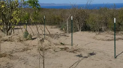 Lote La Cuesta 'D' S/N San Juan De Los Planes — Land for sale in La Paz