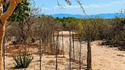 Lote La Cuesta 'E' S/N San Juan De Los Planes — Land for sale in La Paz