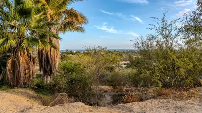 Lote Díaz Lote 5 San Vicente Y La Choya — Land for sale in San José del Cabo
