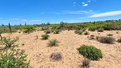 Terreno Bahía Turquesa Vista A S/N — Land for sale in La Paz