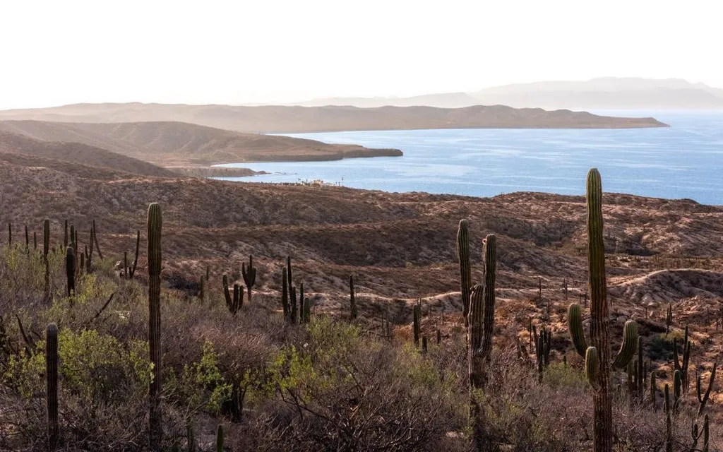 Lote F04 Puerto Mexia Madre Perla — Land for sale in East Cape